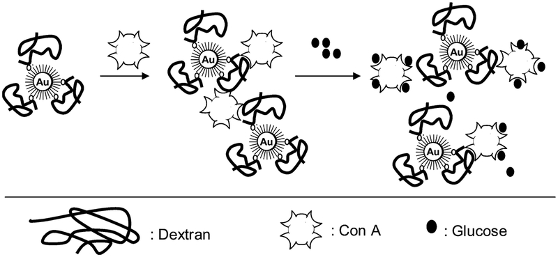 Scheme 1.