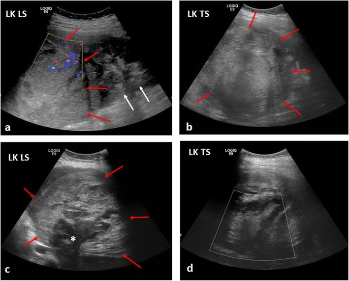 Fig. 19