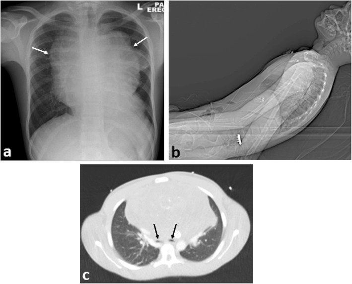 Fig. 7