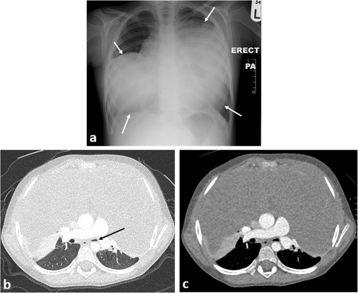 Fig. 8