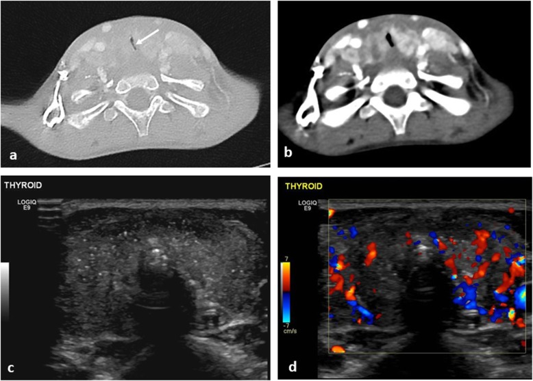 Fig. 6