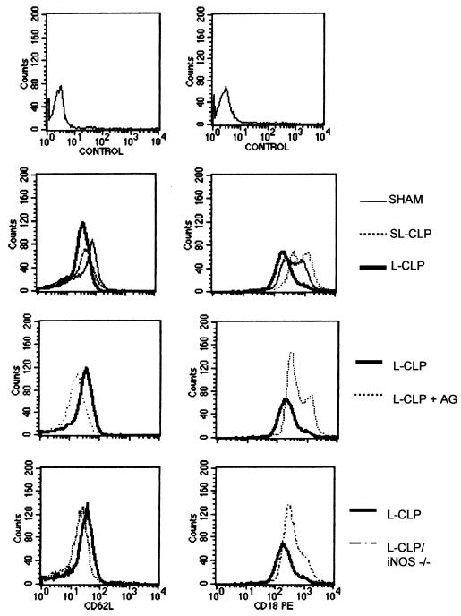 FIG. 7.