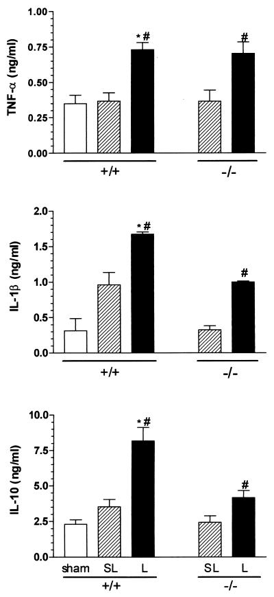 FIG. 5.