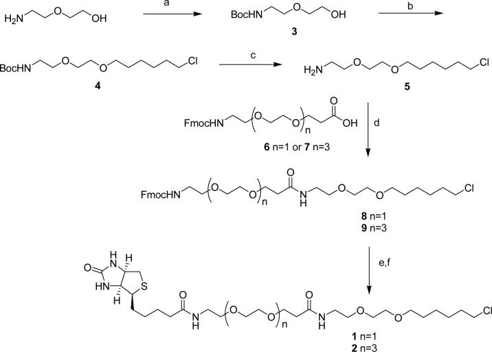 Scheme 2