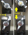 Fig. 4.