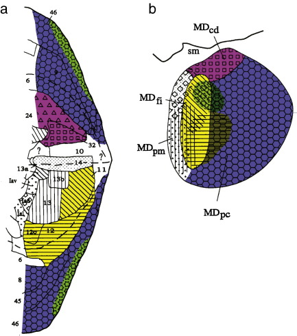 Fig. 1