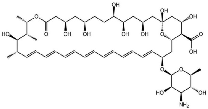 Fig. 11