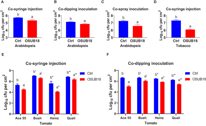 Figure 2