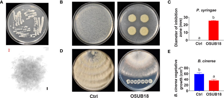 Figure 1