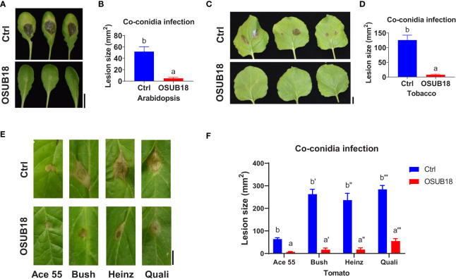 Figure 3