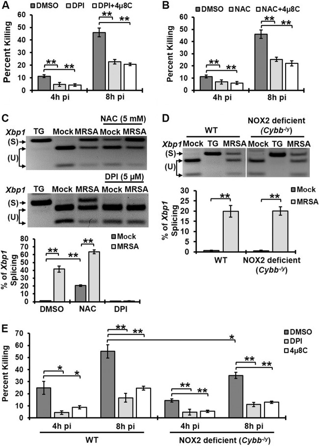 FIG 3 