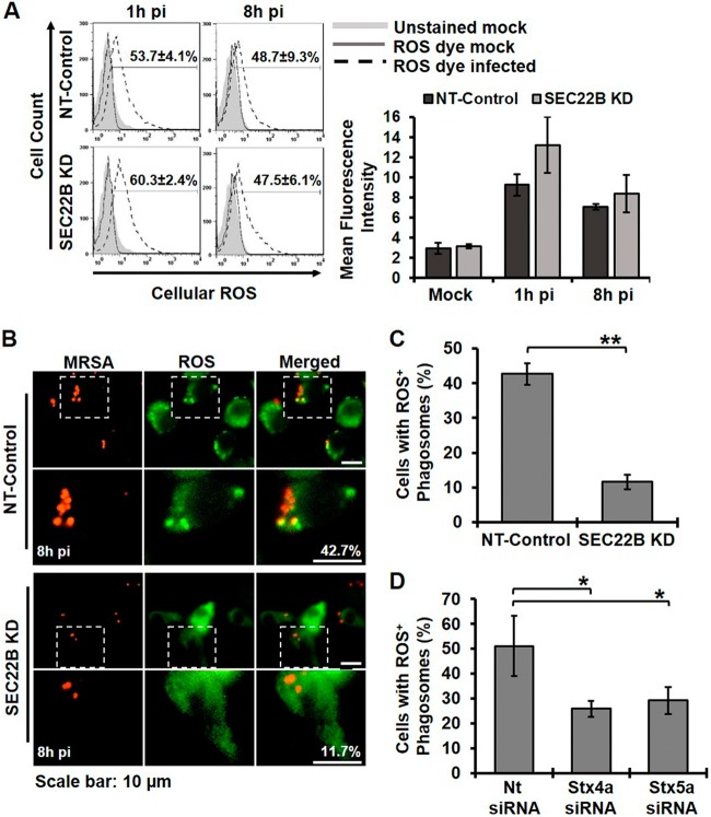 FIG 6 