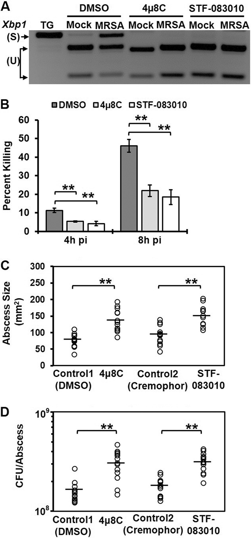 FIG 2 