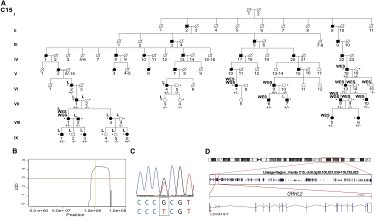 Figure 1