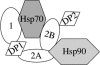 Figure 9.