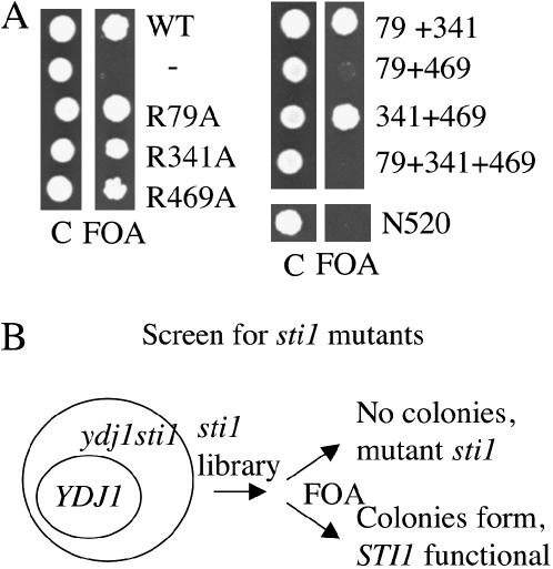 Figure 2.