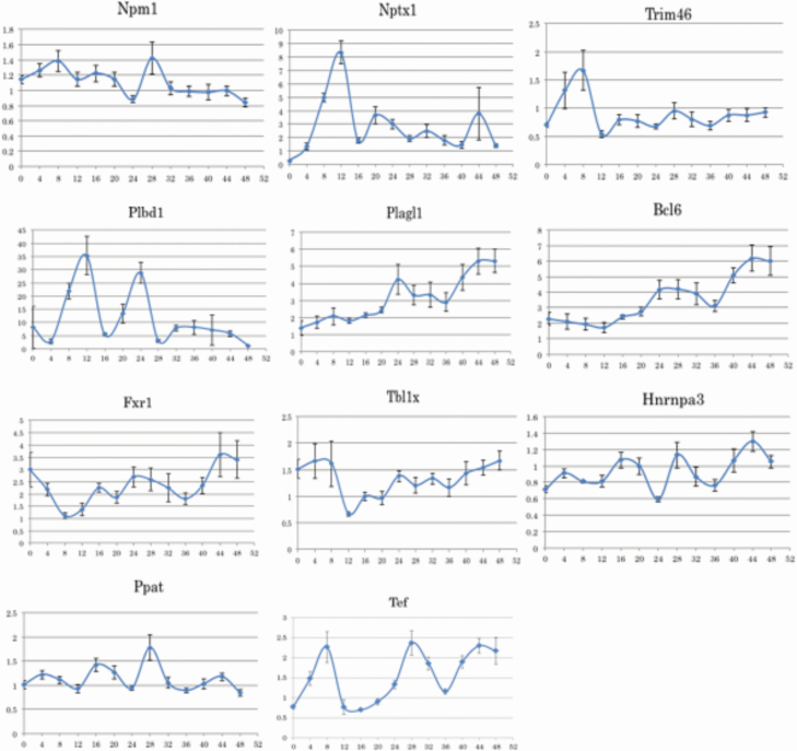 Figure 2.