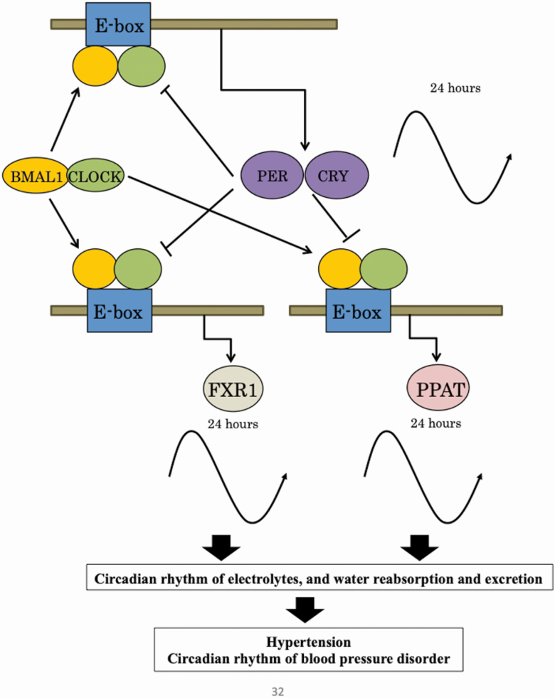 Figure 6.