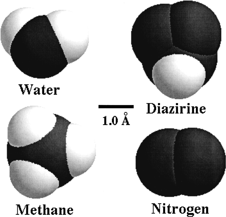 Scheme 1.