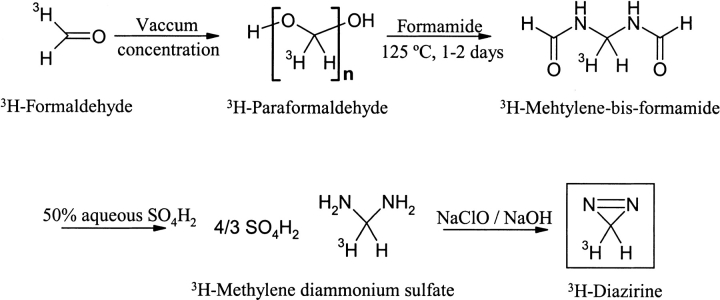 Scheme 3.