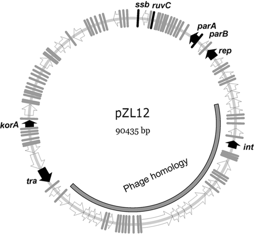 FIG. 1.