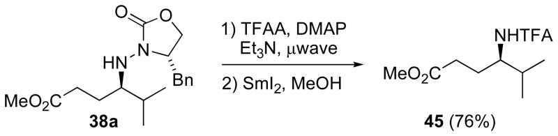 Scheme 15