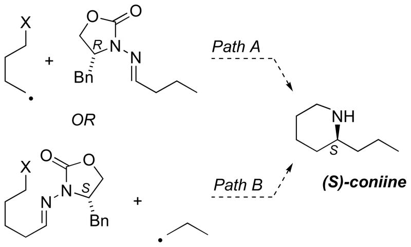 Scheme 7