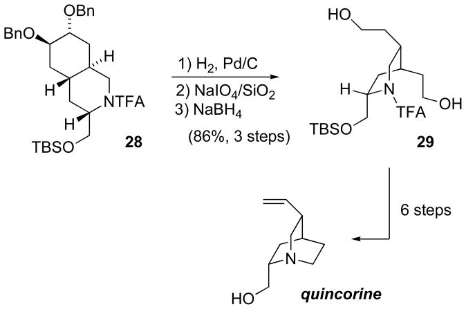 Scheme 12