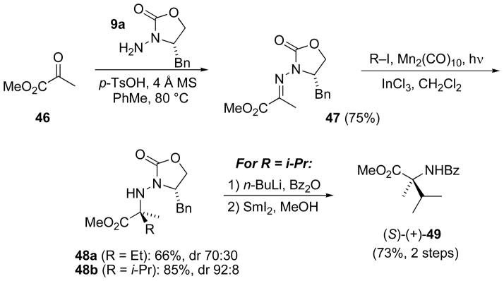 Scheme 16