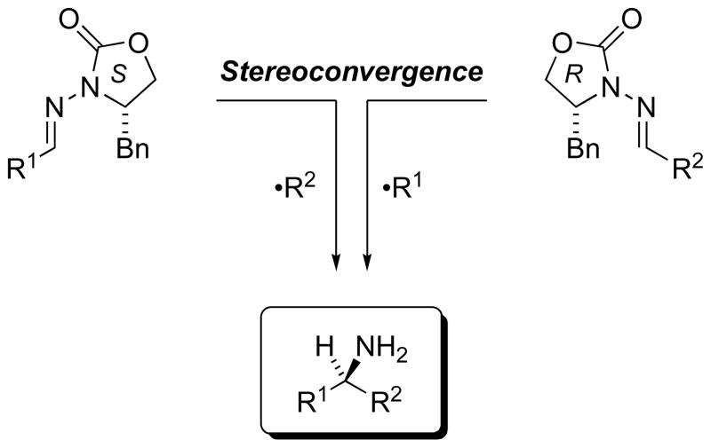 Scheme 19