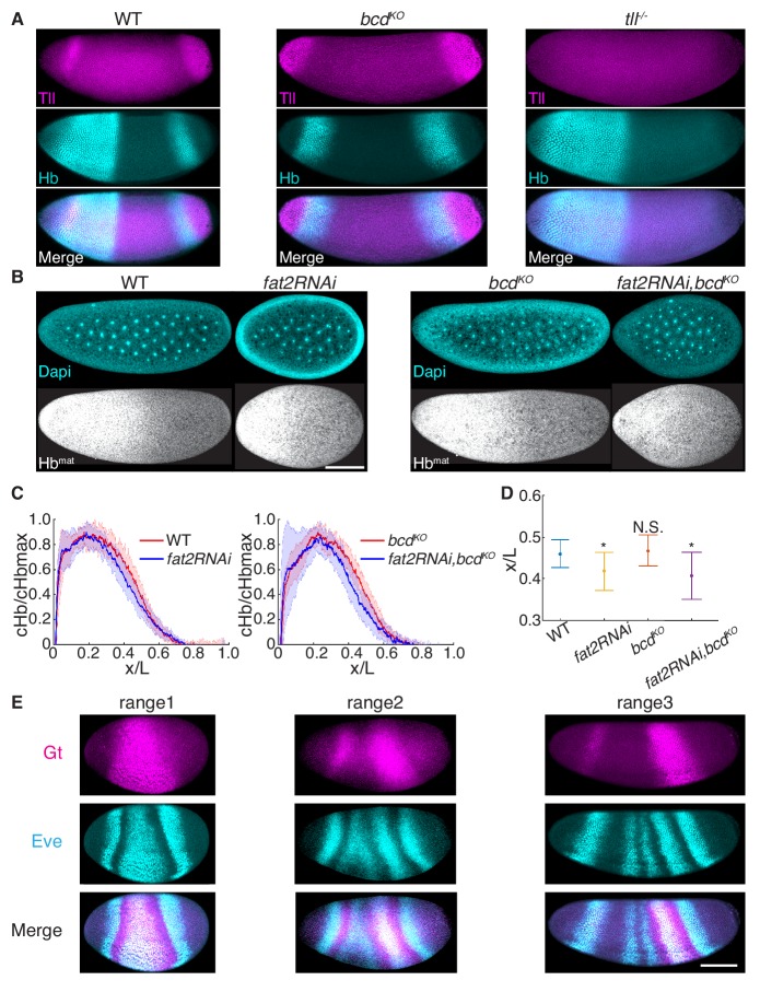 Figure 6—figure supplement 1.