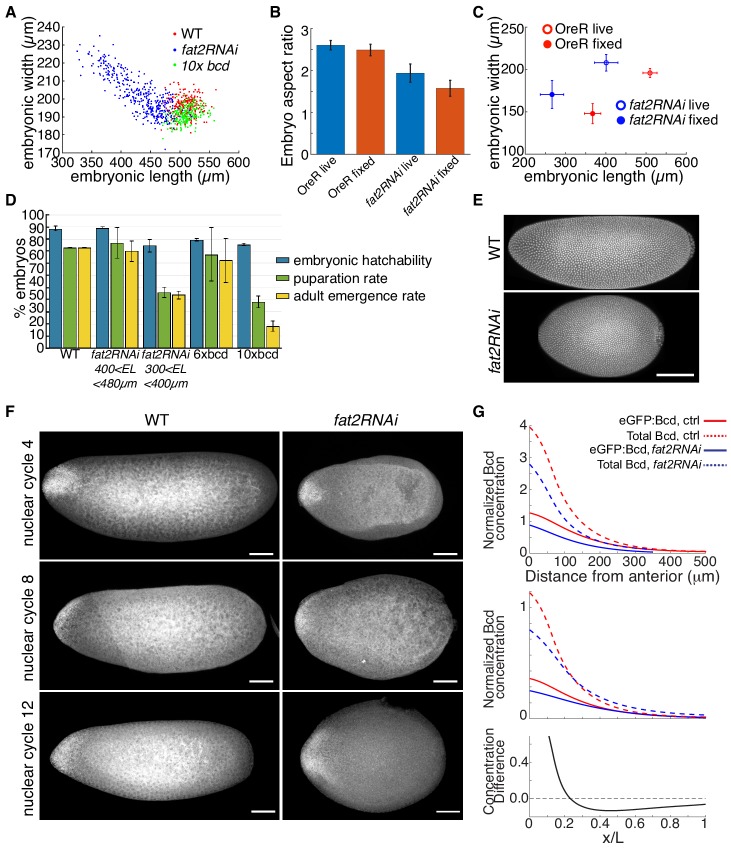 Figure 1—figure supplement 1.