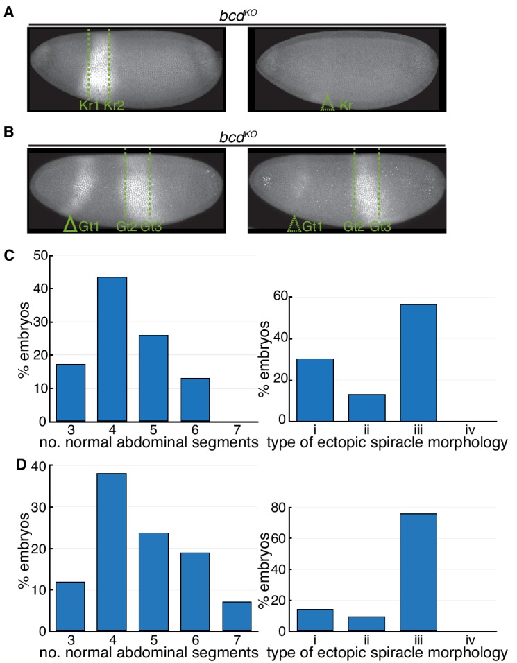 Figure 5—figure supplement 2.