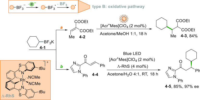 Scheme 4