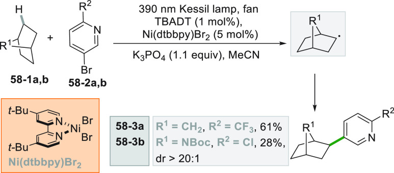 Scheme 58