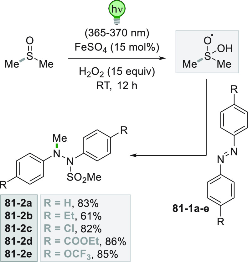 Scheme 81