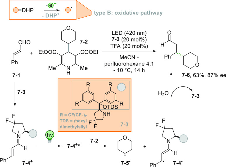 Scheme 7