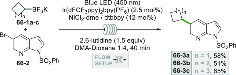 Scheme 66