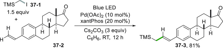 Scheme 37