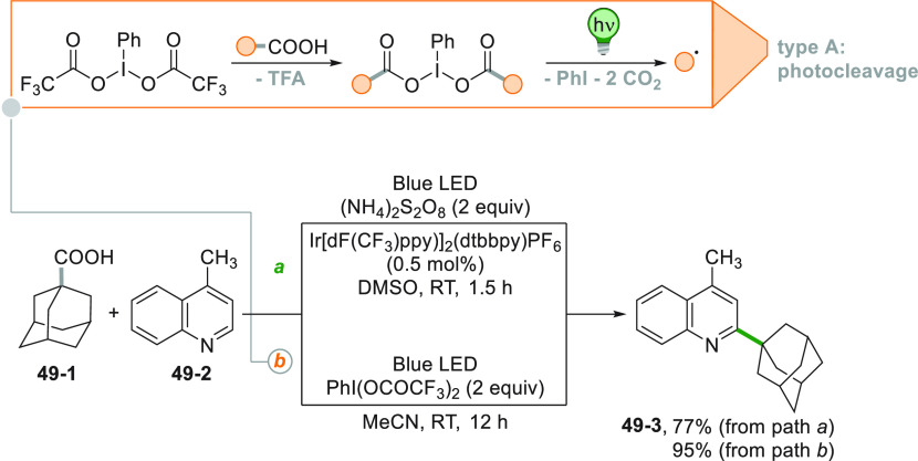 Scheme 49