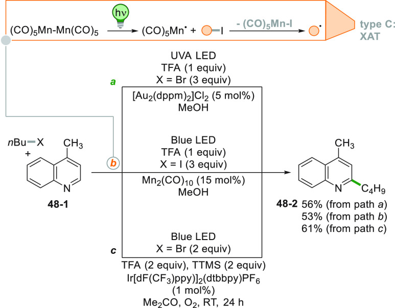 Scheme 48