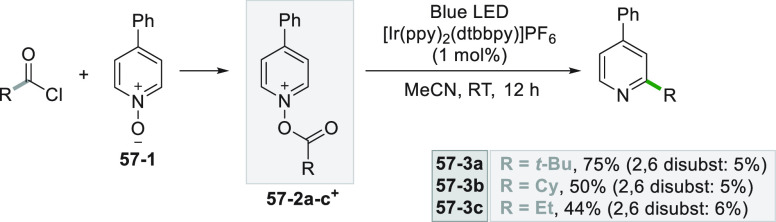 Scheme 57