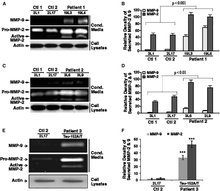 Figure 2