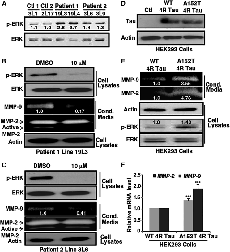 Figure 4