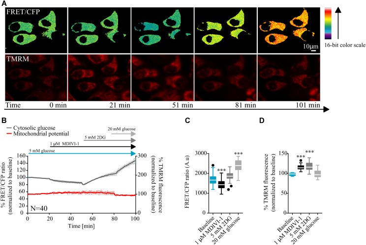 FIGURE 2