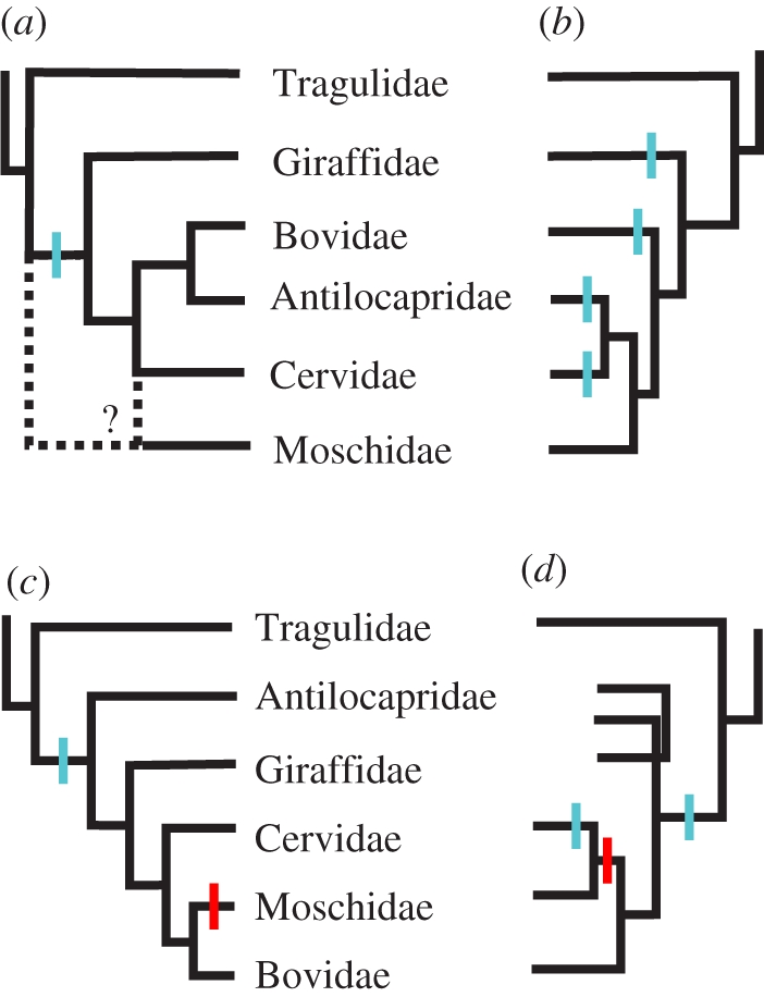 Figure 1.