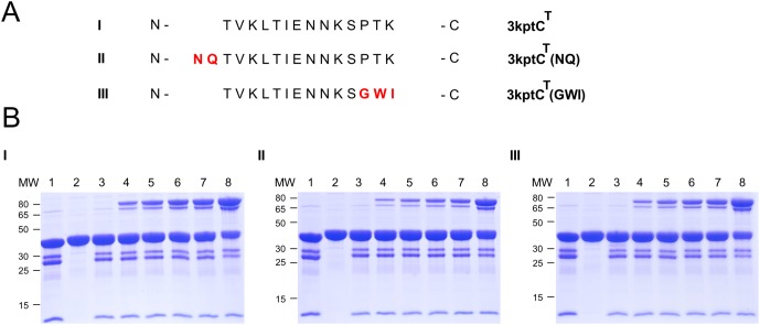 Fig 11