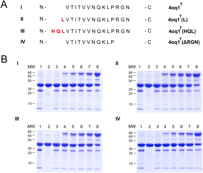 Fig 10