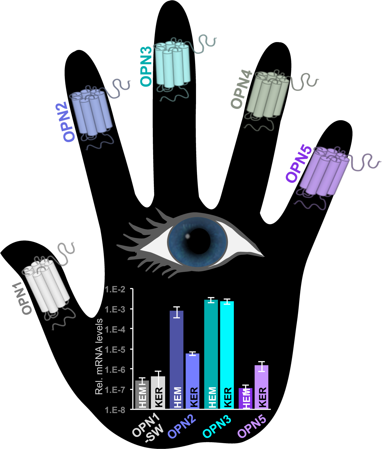 Figure 2: