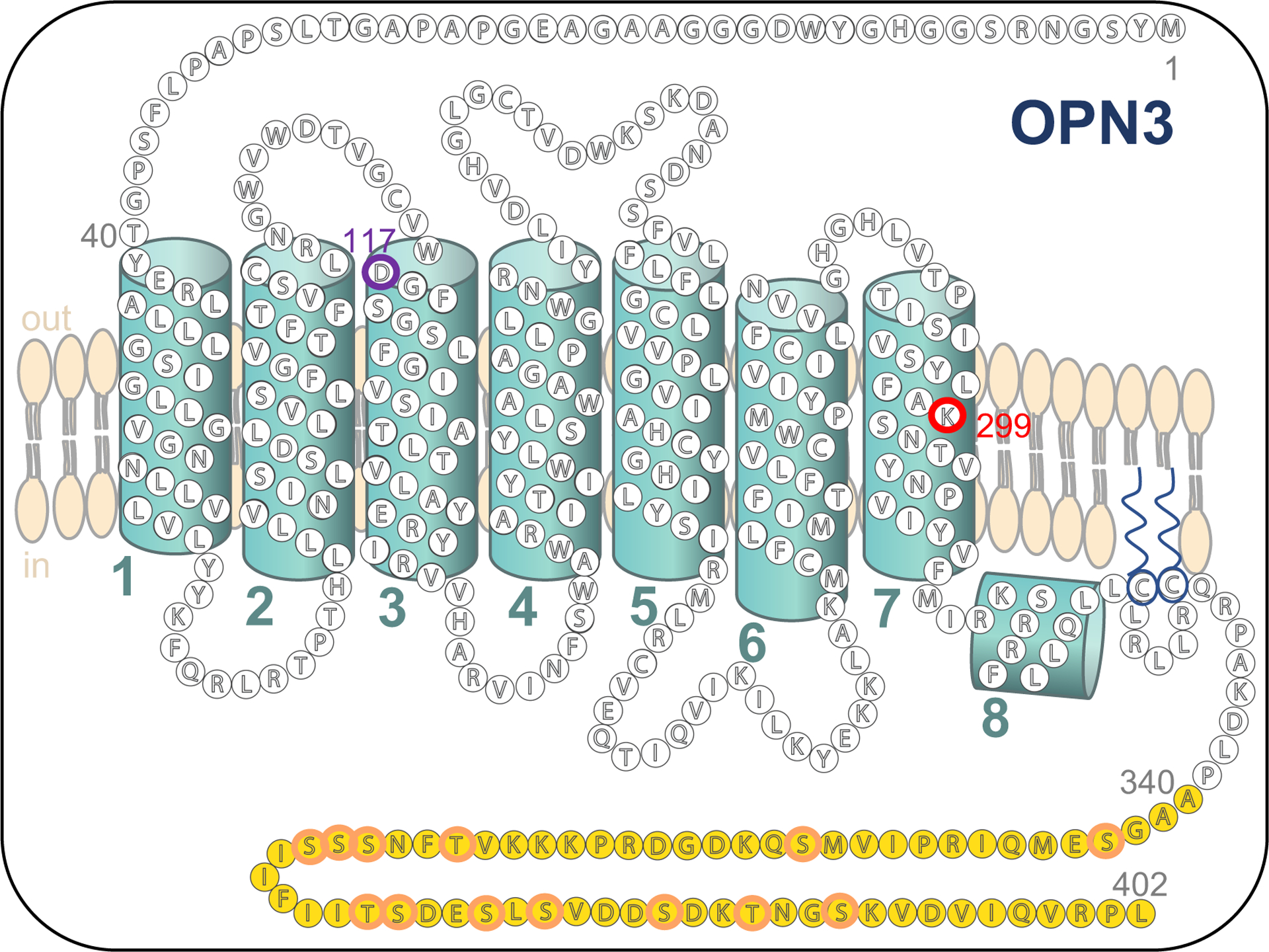 Figure 4: